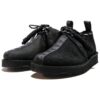 Clarks x Neighborhood Desert Trek GTX “Black” 26167086